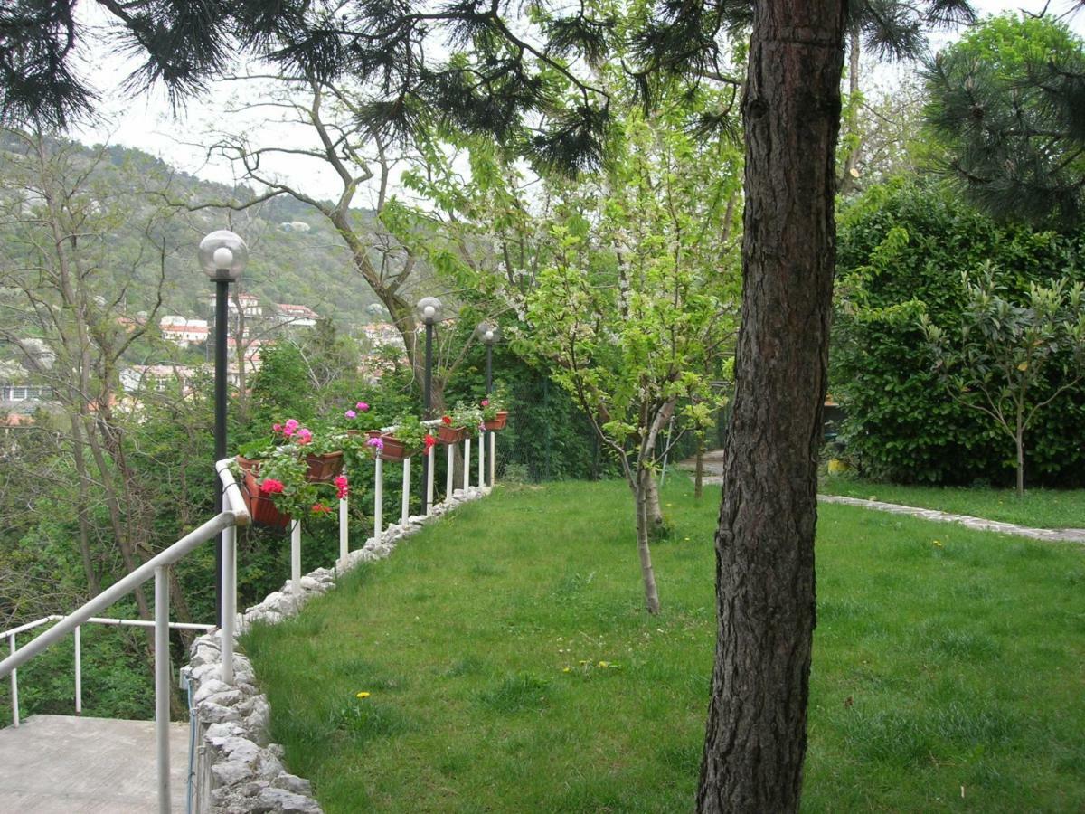 La Culla Di Triest